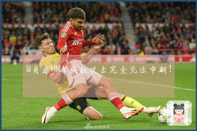 @肖龙MMA 疯狂攻击完全无法中断！