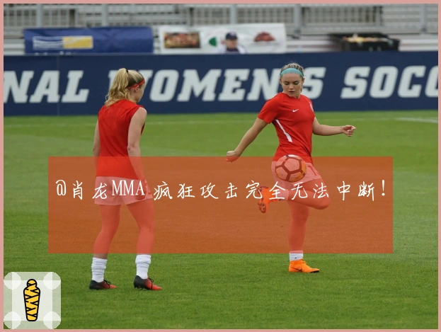 @肖龙MMA 疯狂攻击完全无法中断！